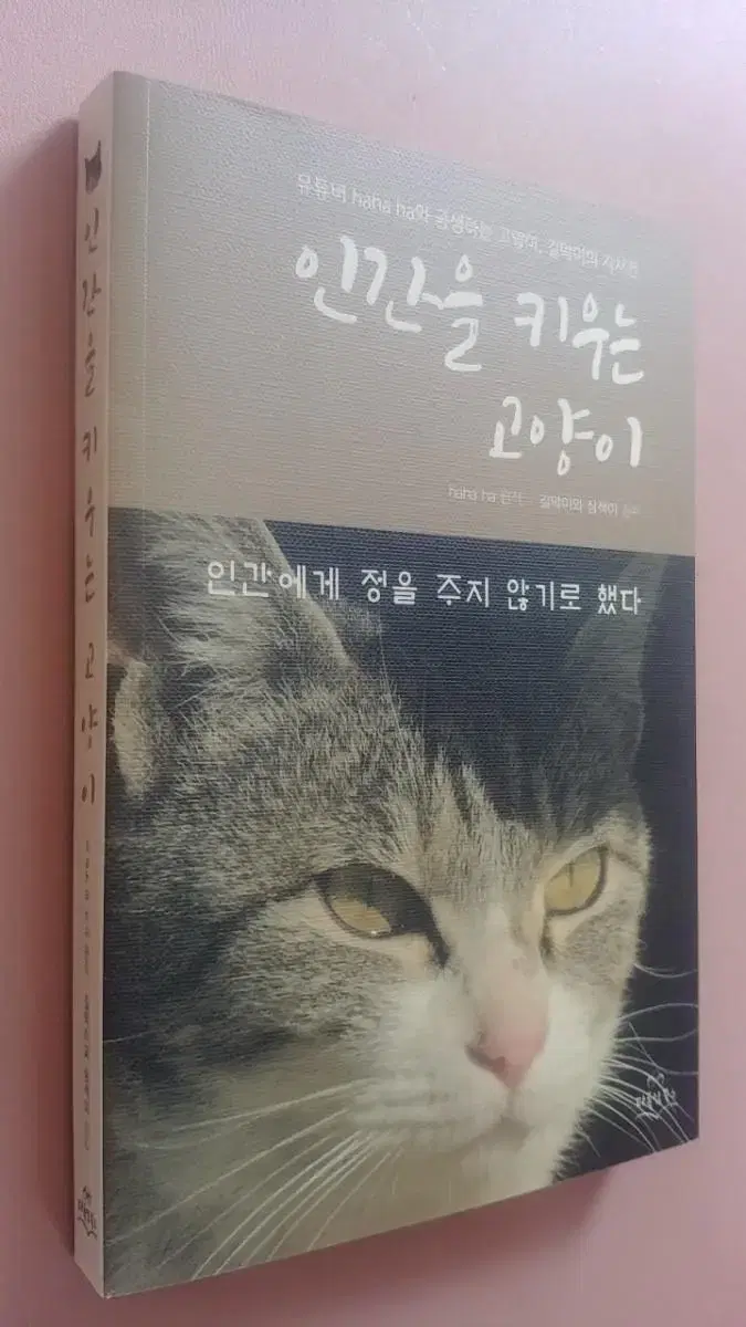 인간을 키우는 고양이